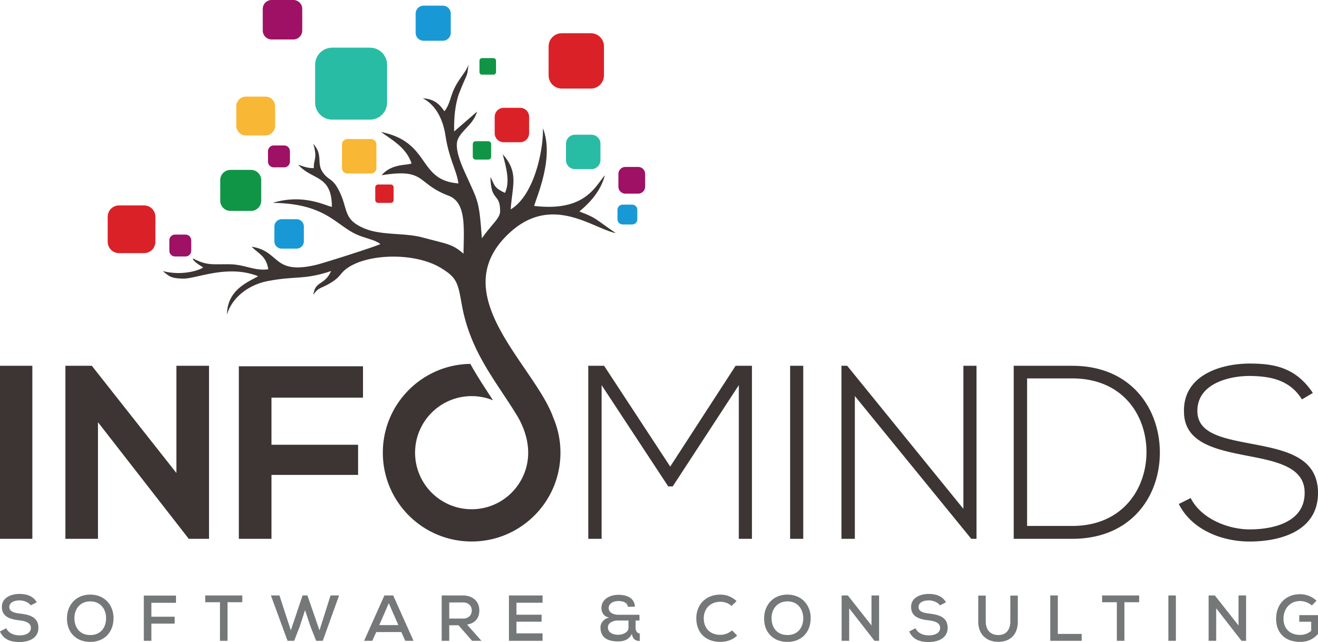 Infominds Software and Consulting